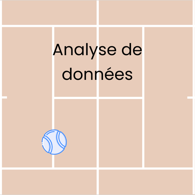 Analyse tennistique